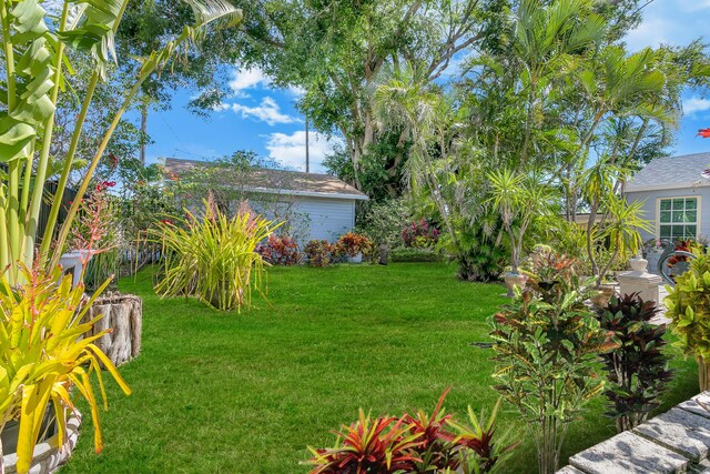 335 Monroe Dr, West Palm Beach, FL 33405 - view of grassy yard