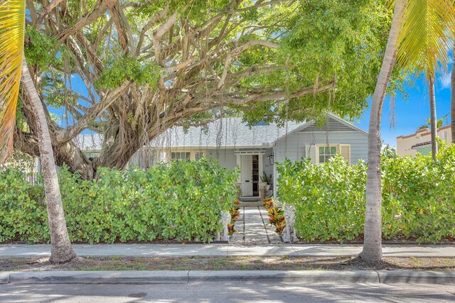 335 Monroe Dr, West Palm Beach, FL 33405 - view of property hidden behind natural elements