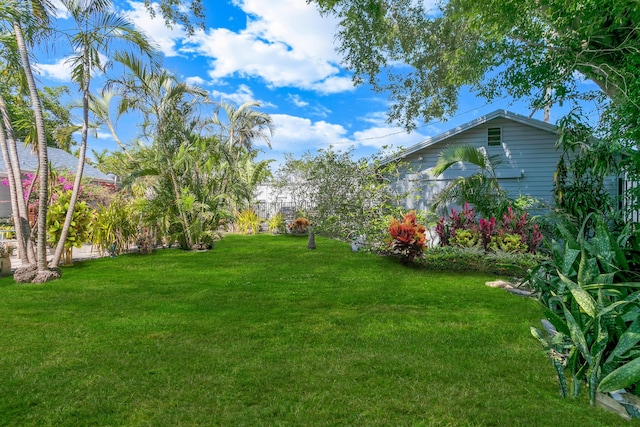 335 Monroe Dr, West Palm Beach, FL 33405 - view of green lawn
