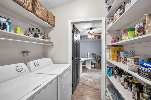 18143 42nd Rd, The Acreage, FL 33470 - laundry area featuring a ceiling fan, separate washer and dryer, light wood-style flooring, and a textured ceiling