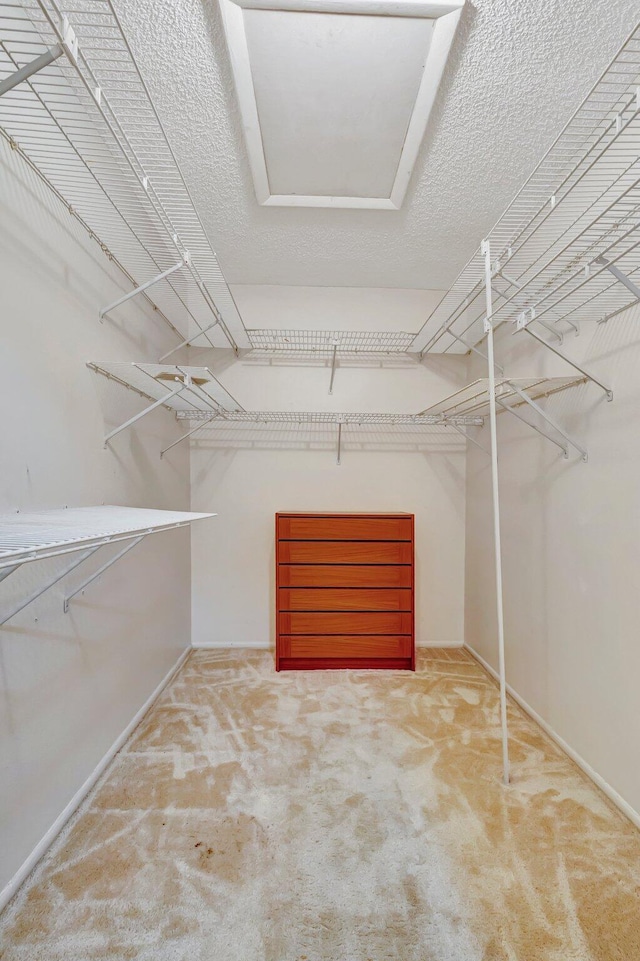 walk in closet featuring carpet
