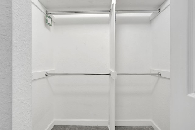 3599 NW 14th Ct, Lauderhill, FL 33311 - view of walk in closet