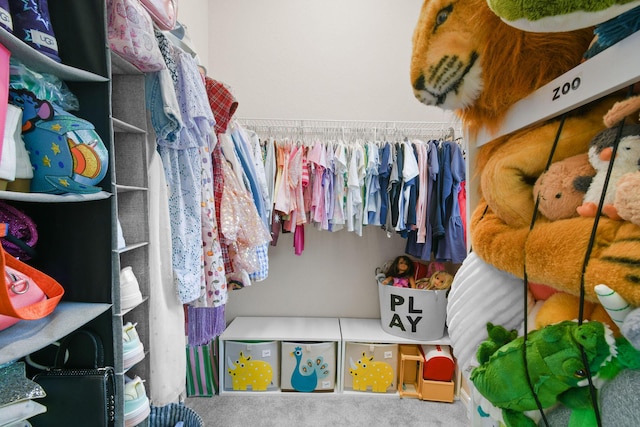 111 Tullamore Ave, Jupiter, FL 33458 - spacious closet with carpet