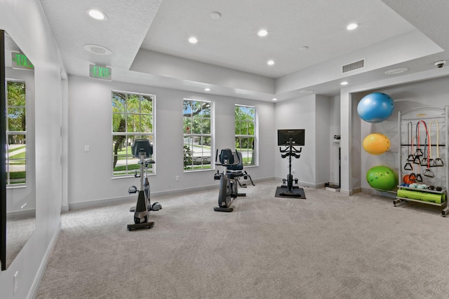 111 Tullamore Ave, Jupiter, FL 33458 - exercise area with recessed lighting, carpet floors, baseboards, and a raised ceiling