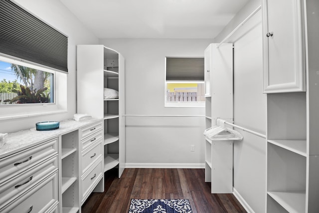764 Westwind Dr, North Palm Beach, FL 33408 - walk in closet with dark wood finished floors