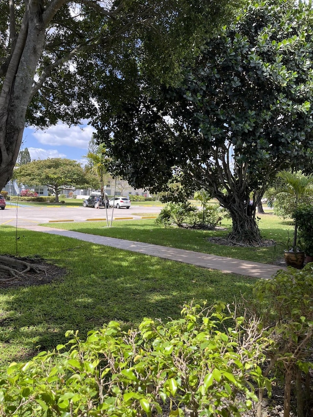 surrounding community with a lawn