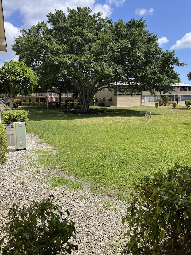 view of yard