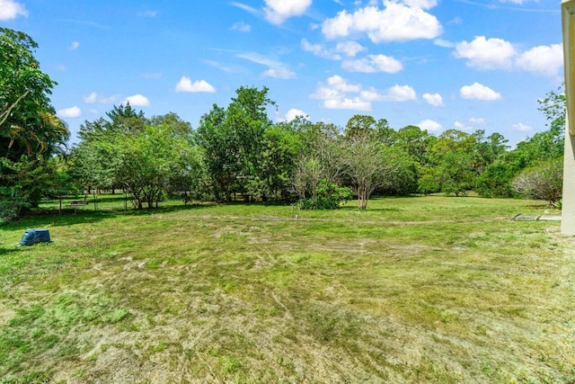 view of green lawn