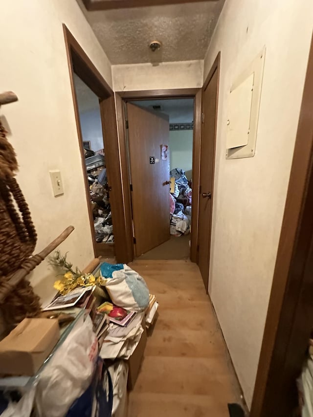 hallway with light wood finished floors