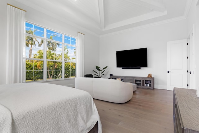 bedroom with wood finished floors, ornamental molding, and a raised ceiling