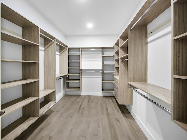 7285 Via Luria, Lake Worth, FL 33467 - walk in closet with light wood-style floors