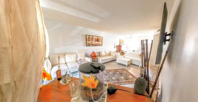 living room featuring wood finished floors