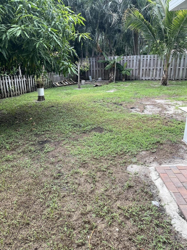 view of yard