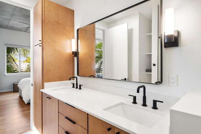 ensuite bathroom featuring a wealth of natural light, wood finished floors, and a sink
