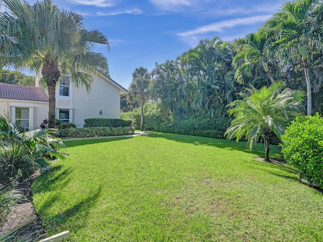 view of green lawn