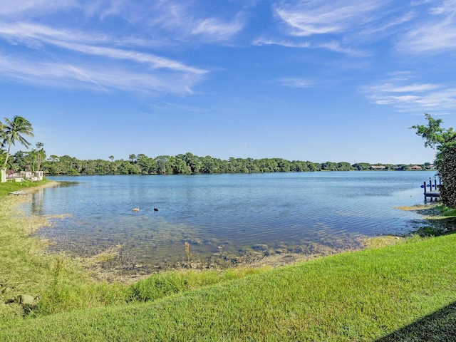 water view
