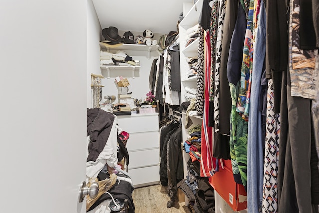 spacious closet featuring light wood-style floors