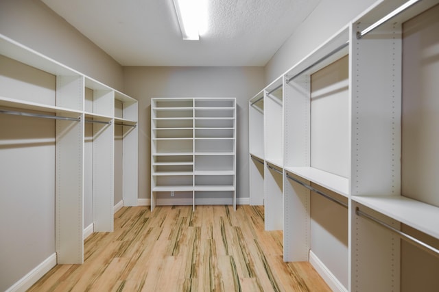 4841 Glenn Pine Ln, Boynton Beach, FL 33436 - spacious closet with light wood-style flooring