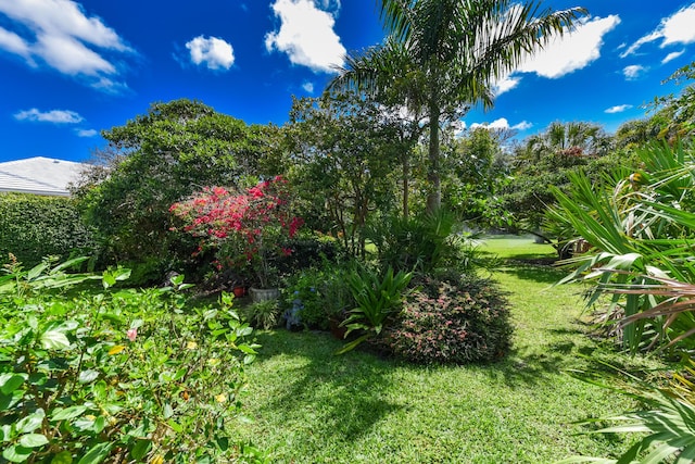 4841 Glenn Pine Ln, Boynton Beach, FL 33436 - view of green lawn