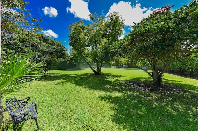4841 Glenn Pine Ln, Boynton Beach, FL 33436 - view of green lawn