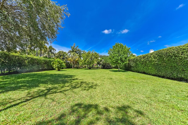 4841 Glenn Pine Ln, Boynton Beach, FL 33436 - view of green lawn