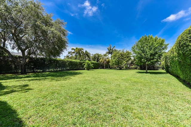 4841 Glenn Pine Ln, Boynton Beach, FL 33436 - view of grassy yard