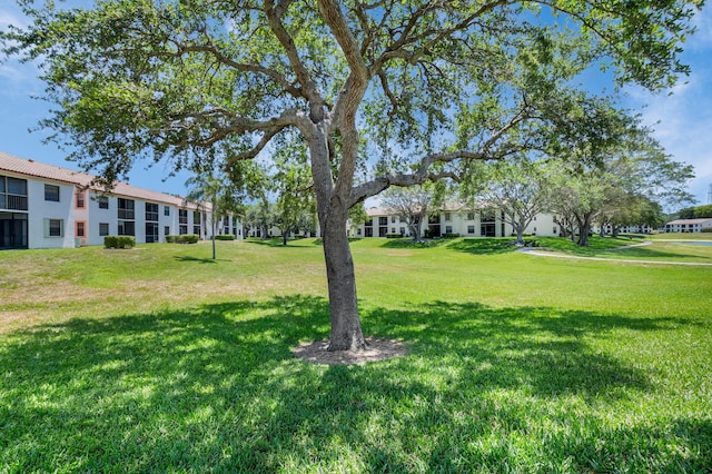 320 Norwood Ter Unit N114, Boca Raton, FL 33431 - view of green lawn