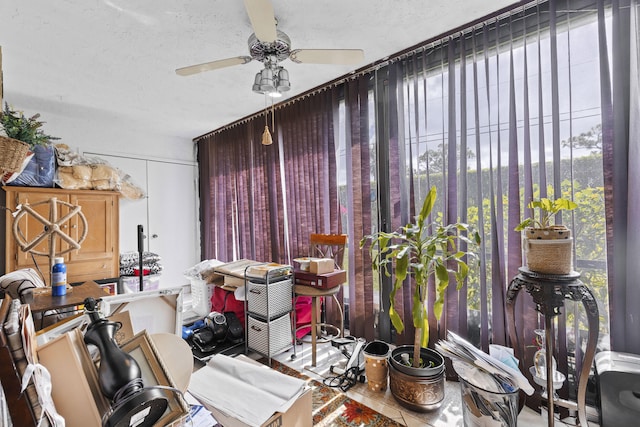 3646 English D Rd Unit D, Lake Worth, FL 33467 - misc room with a ceiling fan and plenty of natural light