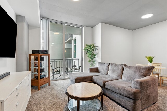 300 S Australian Ave Unit 801, West Palm Beach, FL 33401 - living room with light carpet