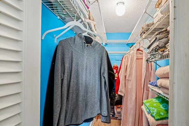 spacious closet featuring wood finished floors