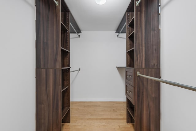 spacious closet featuring wood finished floors