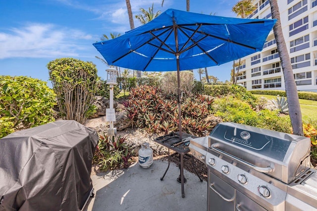 view of patio / terrace featuring area for grilling