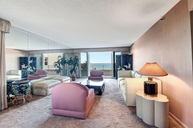 carpeted living room with a textured ceiling