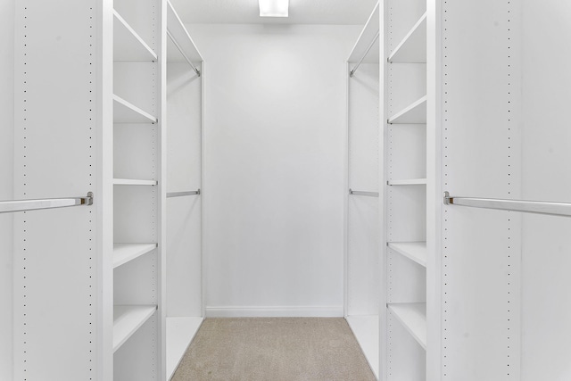 walk in closet featuring carpet
