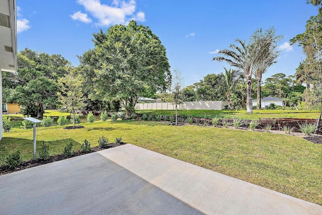 view of yard featuring a patio area