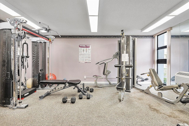 workout area featuring healthy amount of natural light and carpet