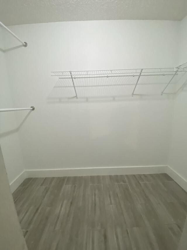 spacious closet featuring wood finished floors