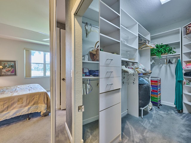 5455 S Fountains Dr S, Lake Worth, FL 33467 - spacious closet with carpet flooring
