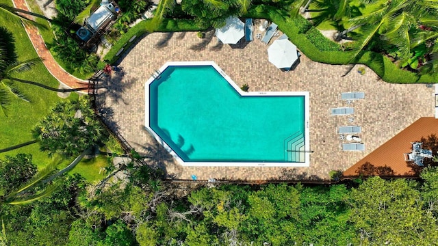 aerial view of a pool area