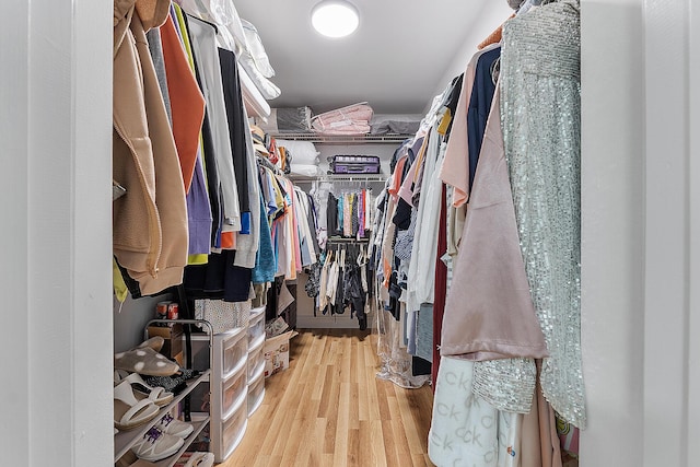 3839 Coco Loba Ln, Boynton Beach, FL 33436 - walk in closet featuring wood finished floors