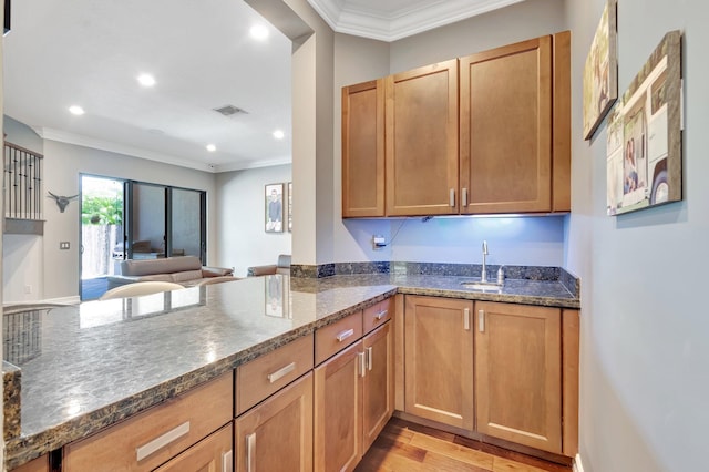8979 Little Falls Way, Delray Beach, FL 33446 - kitchen with crown molding, dark stone counters, a sink, light wood-type flooring, and recessed lighting