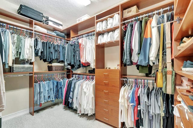8979 Little Falls Way, Delray Beach, FL 33446 - spacious closet featuring carpet floors