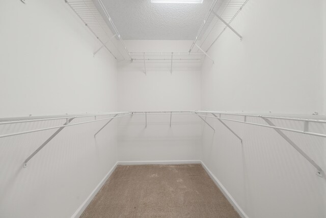 4718 NW 59th Mnr, Coconut Creek, FL 33073 - walk in closet with light colored carpet