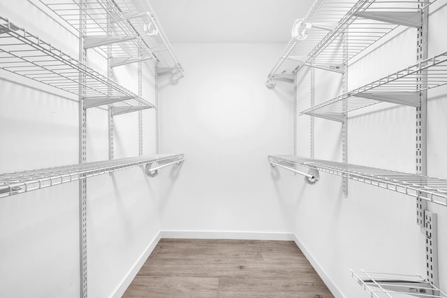 spacious closet featuring wood finished floors