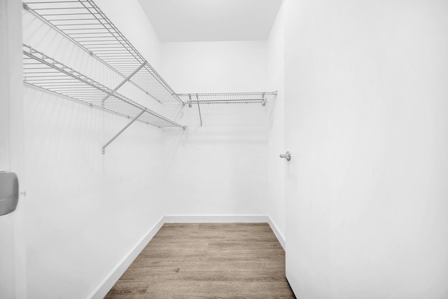 spacious closet featuring wood finished floors