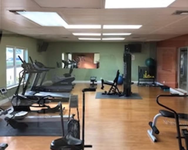 gym featuring wood finished floors