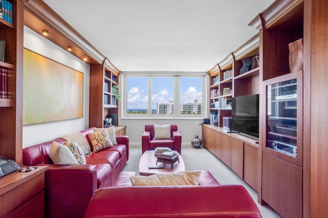 901 E Camino Real Unit 7C, Boca Raton, FL 33432 - living room featuring light carpet