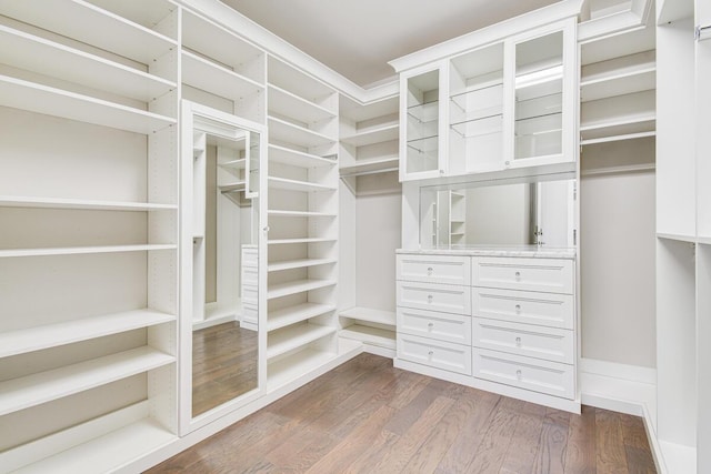 16323 Pantheon Pass, Delray Beach, FL 33446 - spacious closet with dark wood-style flooring