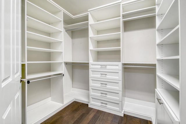 16323 Pantheon Pass, Delray Beach, FL 33446 - walk in closet featuring dark wood-style flooring