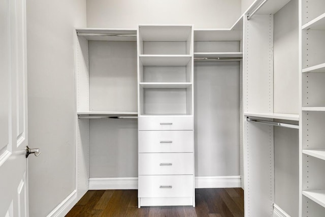16323 Pantheon Pass, Delray Beach, FL 33446 - walk in closet with dark wood-type flooring
